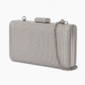 Clutches & Evening Bags